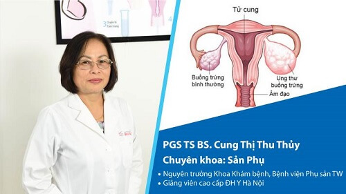  PGS.TS.BS Cung Thị Thu Thủy